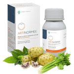 Artinormee obat Indonesia