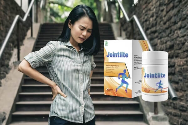 Harga Jointlite di Indonesia
